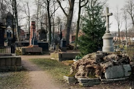 В Екатеринбурге стали известны итоги проверки заброшенного Никольского кладбища 